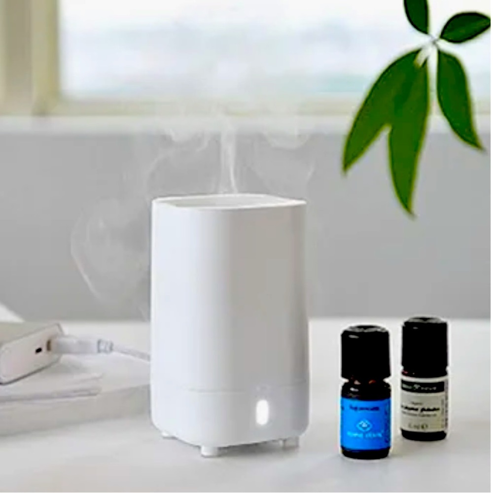 Serene House Ion Mini Fan Diffuser & Essential Oil